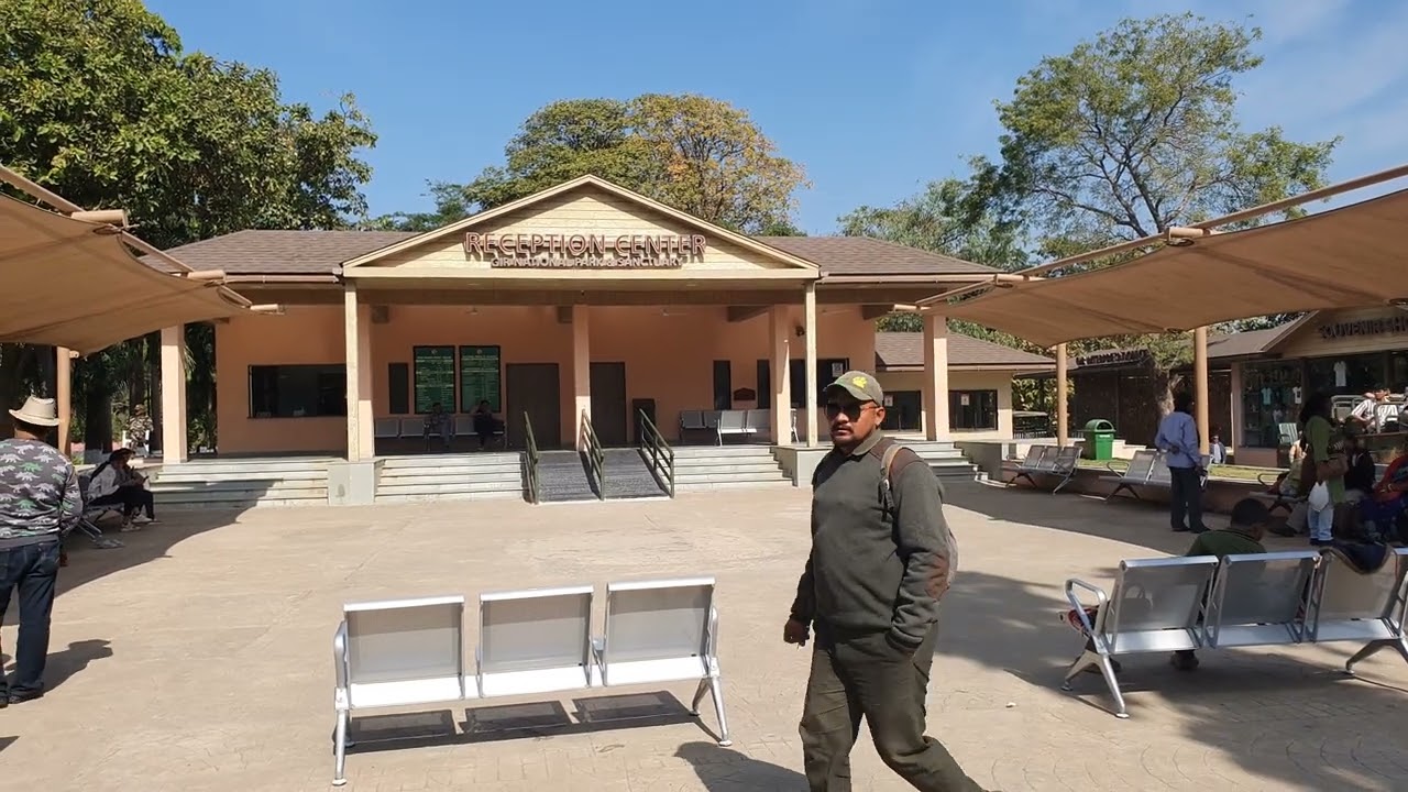 How to Book Gir Jungle Safari Online: Step-by-Step Guide (2025)