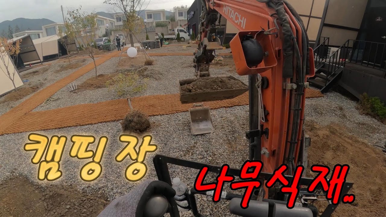 캠핑장 나무식재..