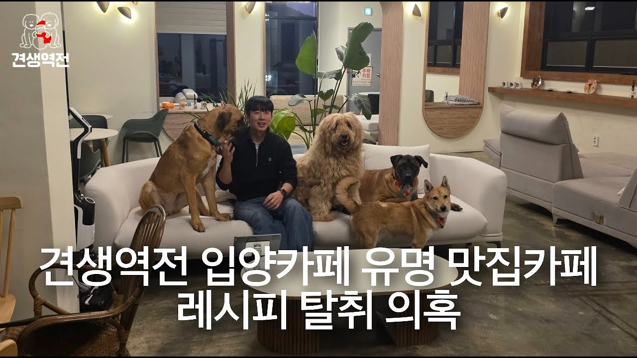 견생역전 입양카페 유명 맛집 카페 레시피 탈취 의혹
