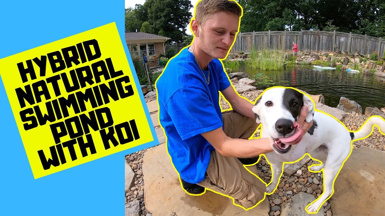 Recreational Pond | Swim Pond Hybrid: 8-Year Project Showcase!