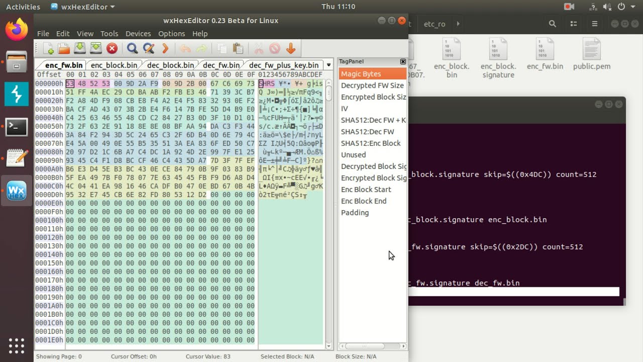 Decrypting Encrypted D-Link Firmware (SHRS)