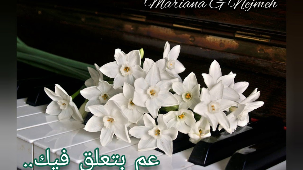 عم بتعلق فيك.. Mariana.Nejmeh
