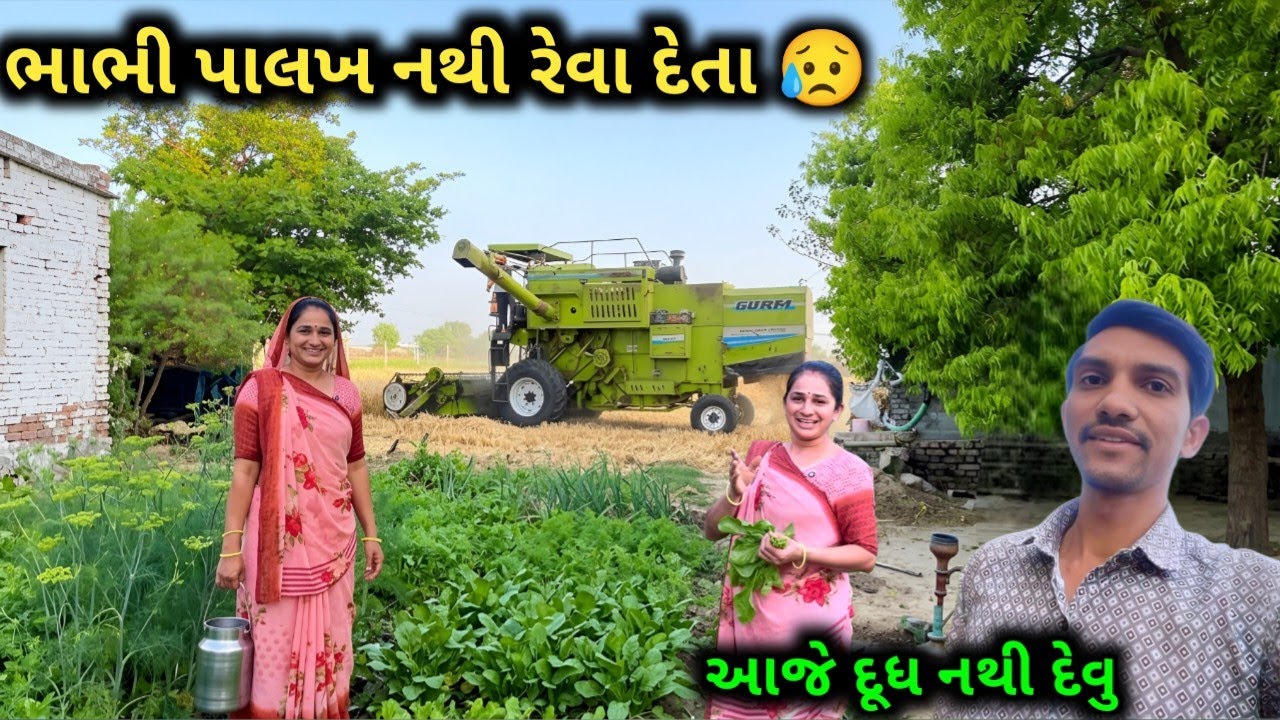 ભાભી ભાજી રેવા જ નથી દેતા 😥 || દૂધ દેવુજ નથી || Life at Botad Village Vlogs 