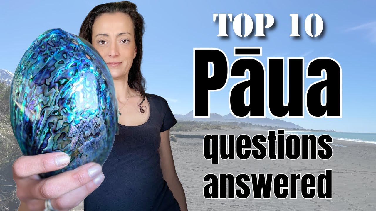 🇳🇿 What You Need to Know About Paua | Top 10 New Zealand Abalone Questions 🌊