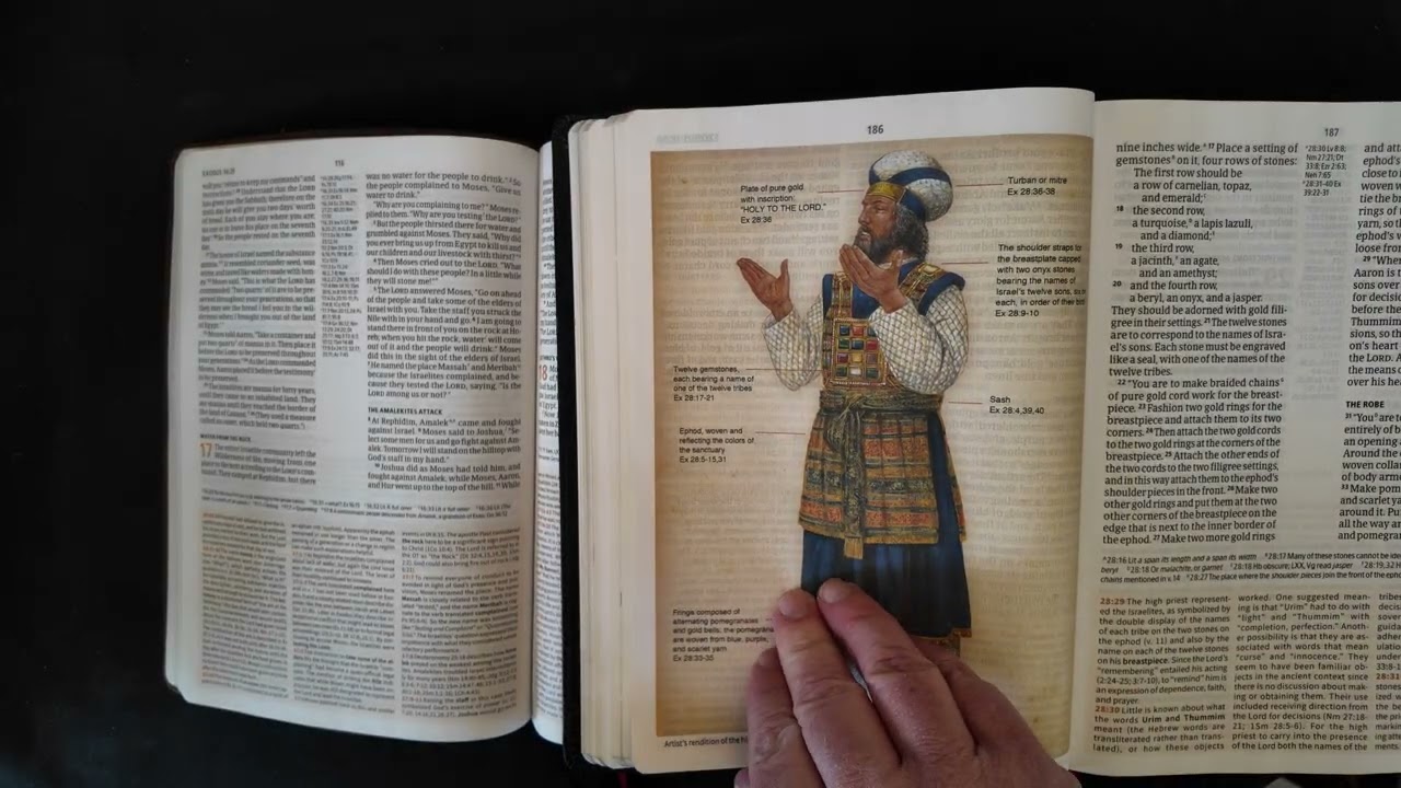 CSB Large Print Study Bible. Just released and a side by side with the CSB Study Bible .