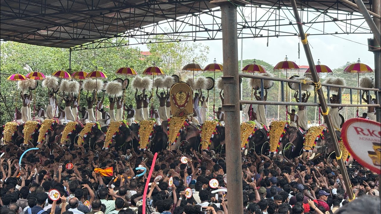 Thrissur Pooram 2025 : പകൽ പൂരം