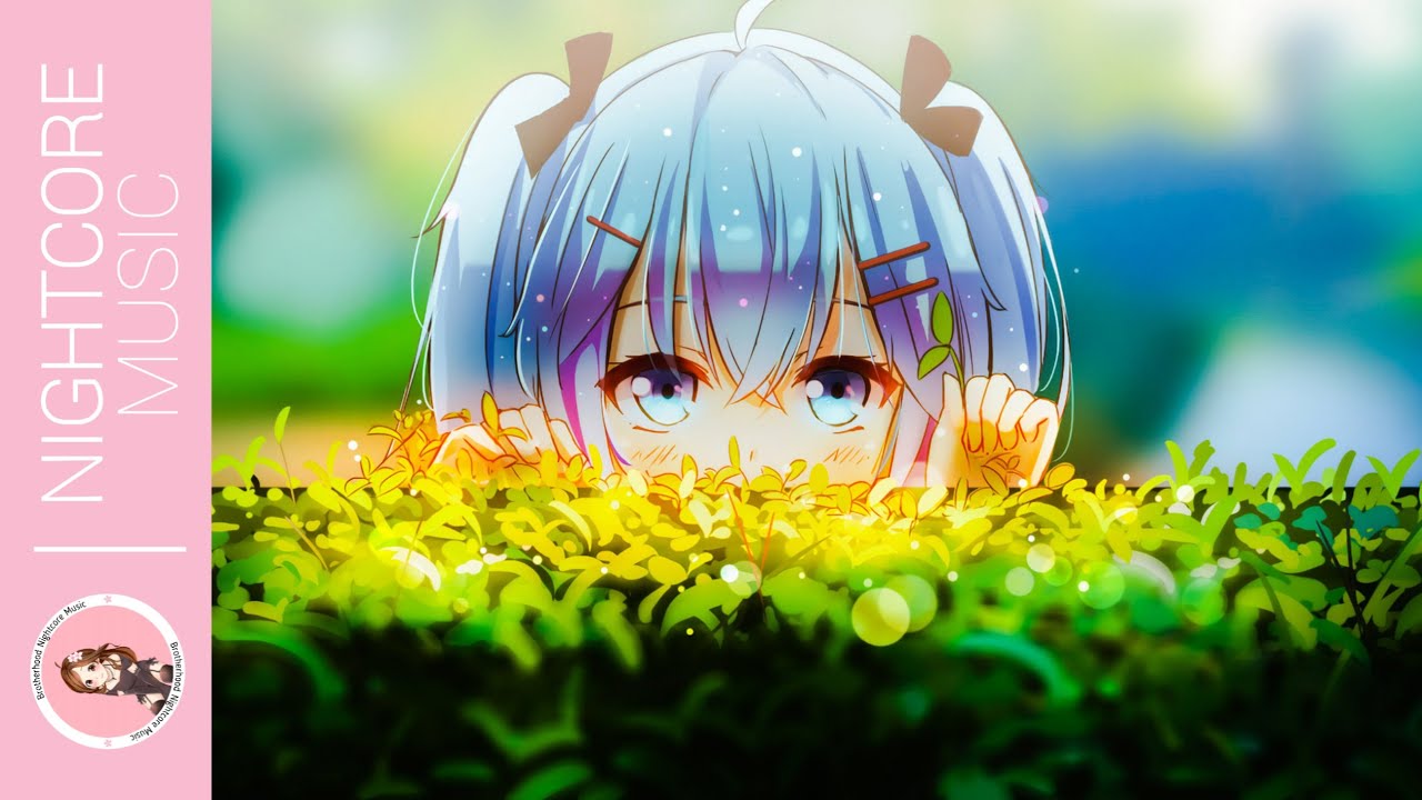 Nightcore - Anata ga Iru Kara「Yuka Masaki」