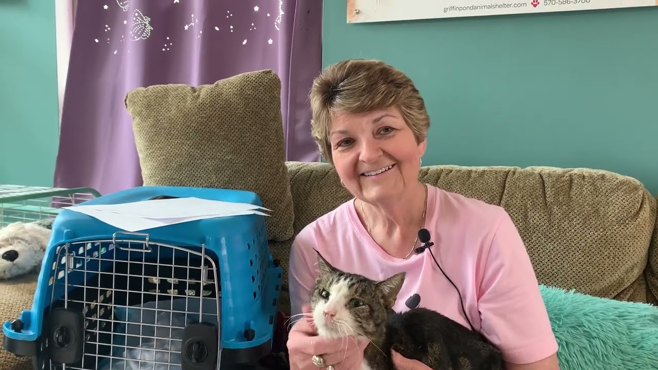 Fostering animals that need Hospice Care