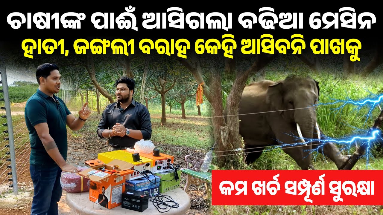 Jhatka Machine in Odisha | କମ ଖର୍ଚ ସମ୍ପୂର୍ଣ ସୁରକ୍ଷା | solar fencing price in odisha