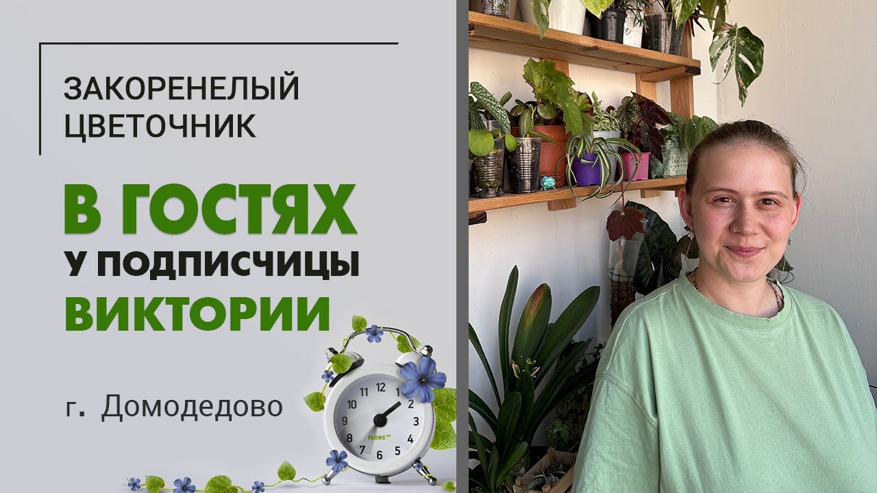 В гостях у Виктории. г. Домодедово. Румтур, комнатные растения.