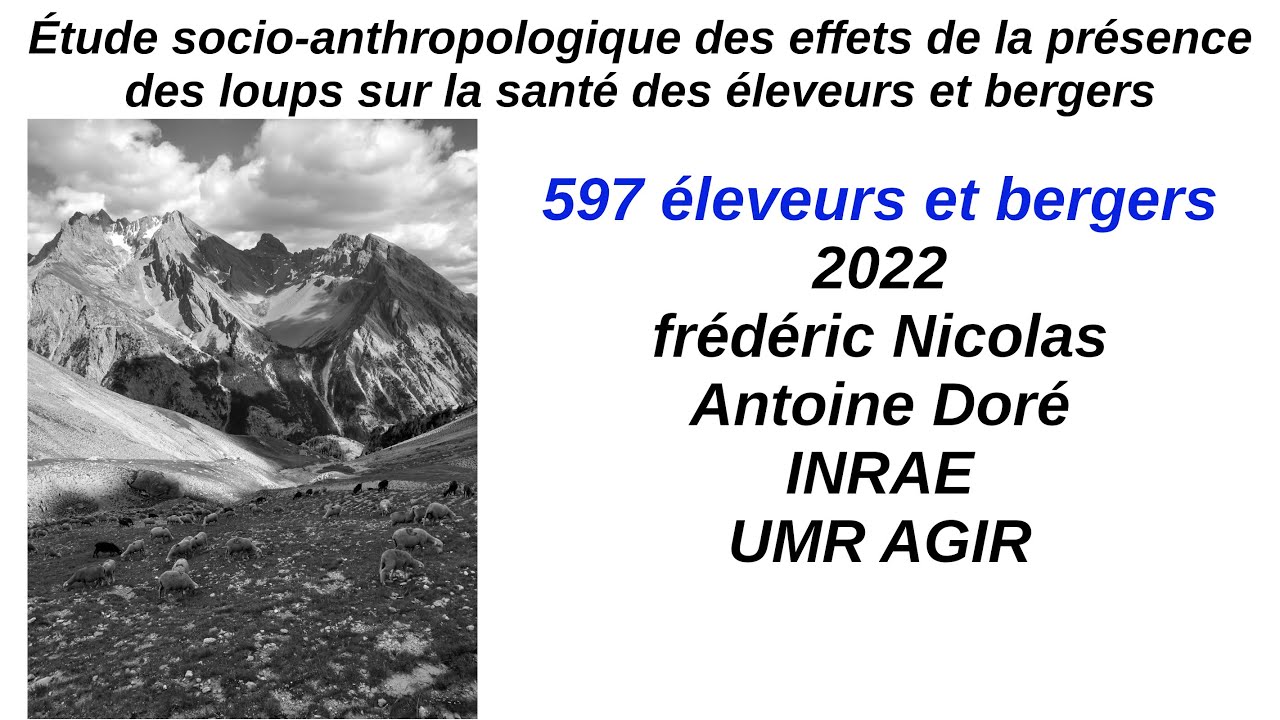 Étude socio-anthropologique des effets de la présence des loups sur la santé des éleveurs et bergers