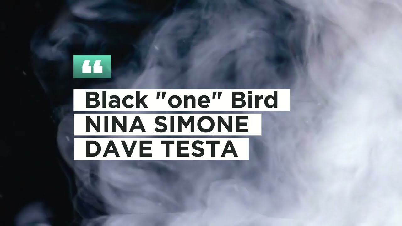 Dave Testa, @NinaSimoneMusic  - Black One Bird