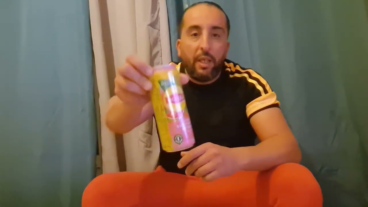LIPTON saveur Past&egrave;que Menthe Ice tea