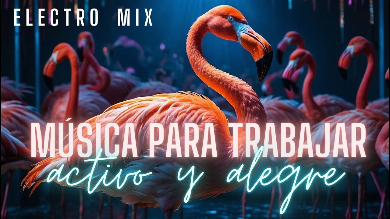 Musica Electro para Trabajar Activo y Alegre - Mix Alegre para Levantar el Animo