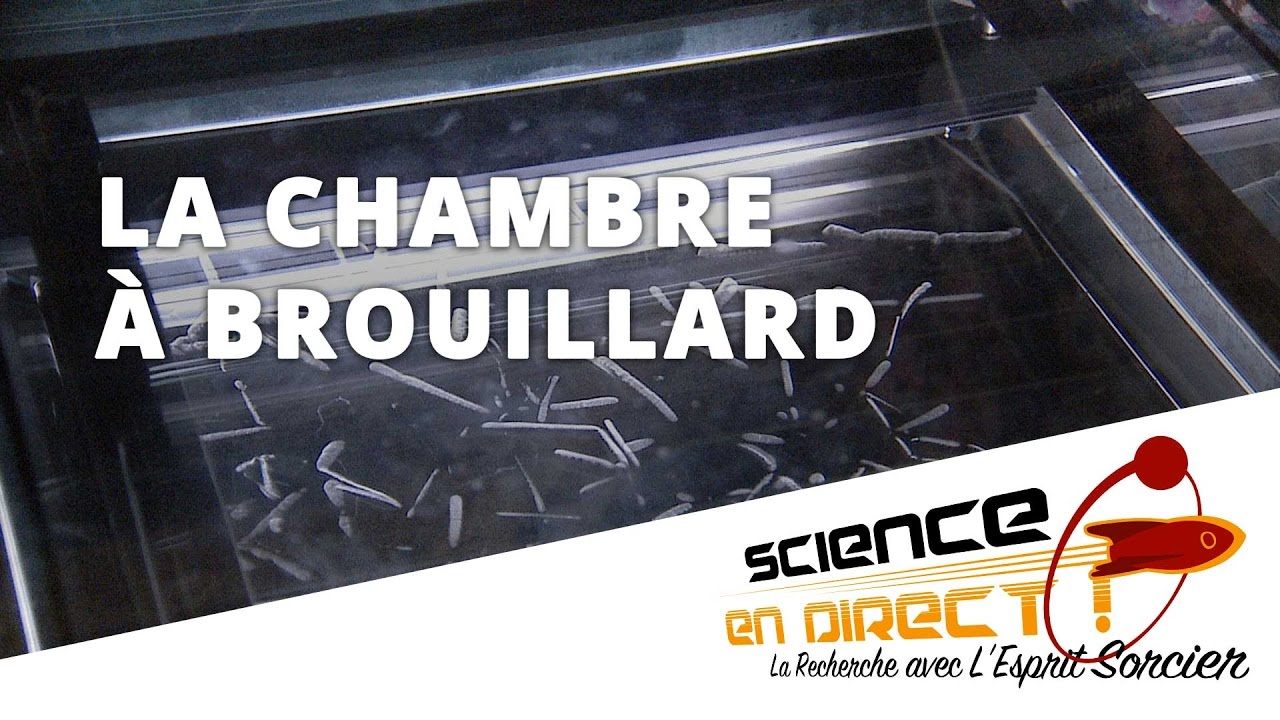 La chambre à brouillard - Expérience En Direct - L'Esprit Sorcier