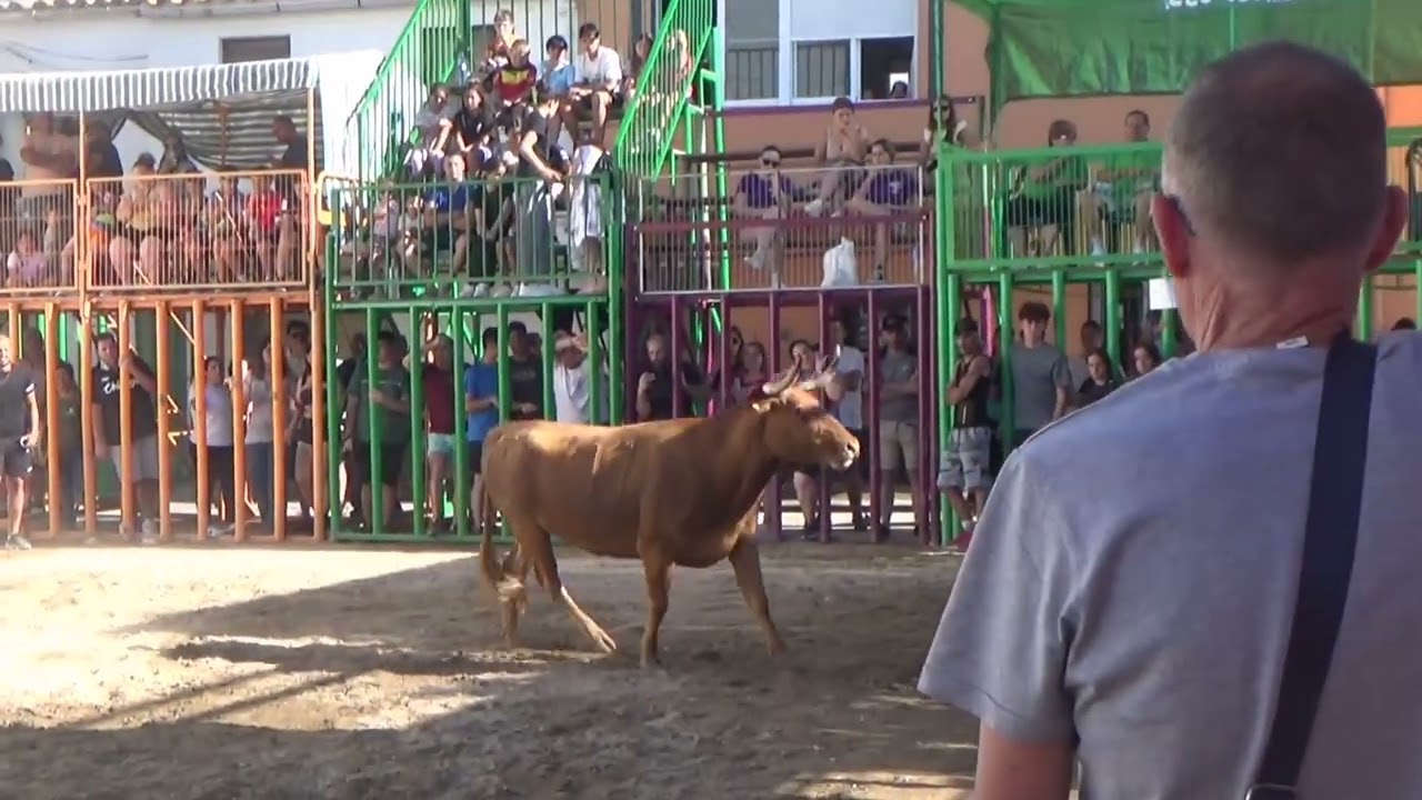RIBERA DE CABANES 03-07-24 GANADERÍA LAURA PAREJO