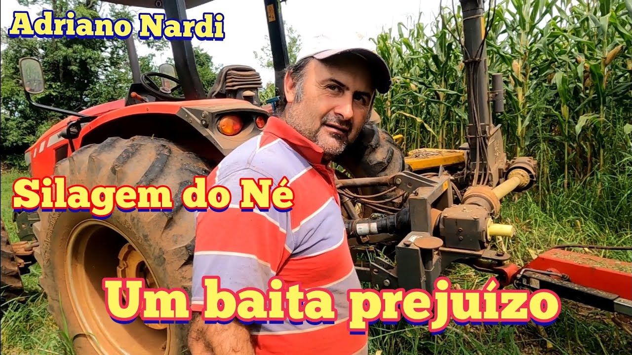 Hoje vamos começar a fazer a silagem de milho do Né. Trator do Né estragou.