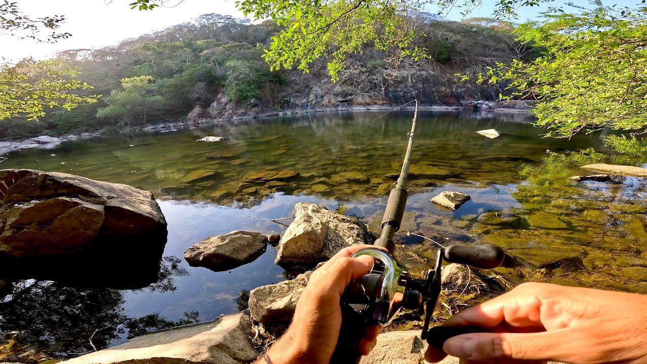 Pescando y Explorando Ríos en medio de la Jungla! | Robalos y Trucha Tropical