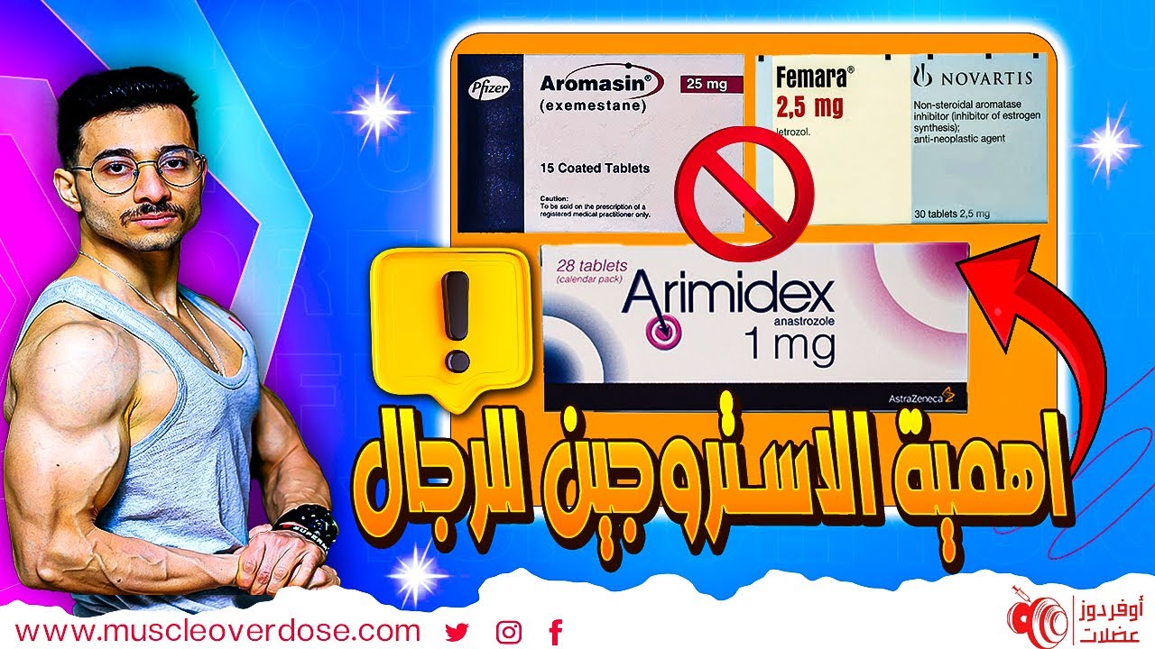 ابتعد عن مضادات الاستروجين في سايكل الهرمون والسارمز !! (5 فوائد للاستروجين)