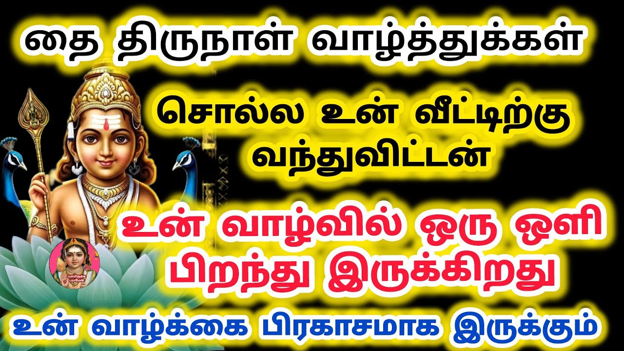 தை திருநாள் வாழ்த்துக்கள் சொல்ல உன் வீட்டிற்கு வந்து விட்டேன் உன் வாழ்வில் ஒரு ஒளி வீசும் 