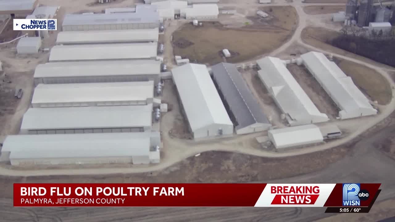 Avian flu outbreak hits Jefferson County poultry operation