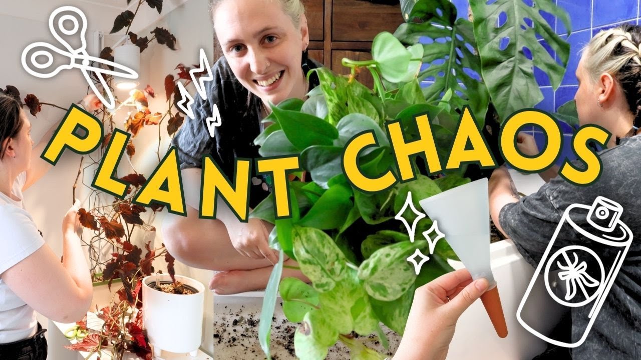 Realistic Plant Care Vlog 🪴 Pest Drama, Cutting back & Real Talk