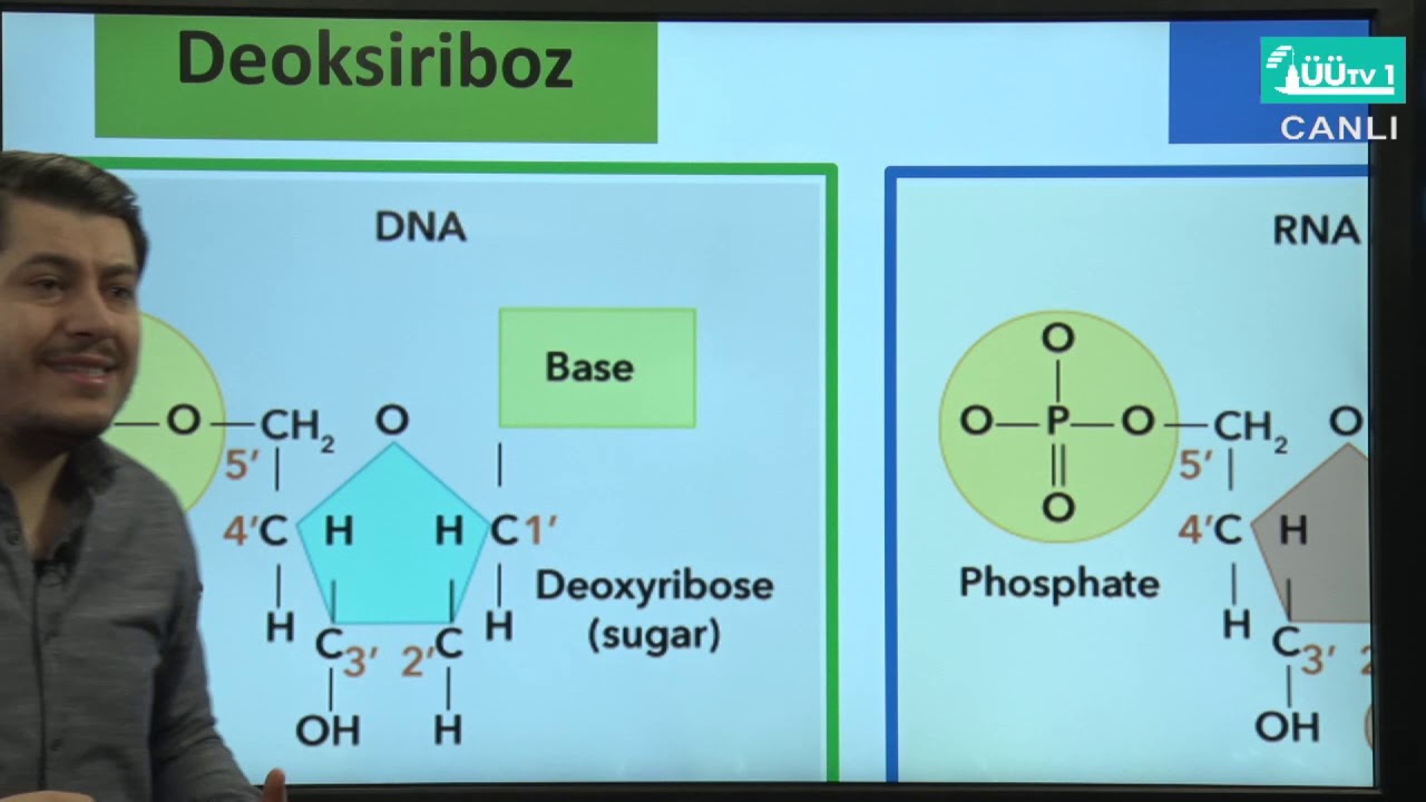 Sağlık Meslek Yüksekokulu Uzaktan Eğitim Dersleri - Biyokimya Karbonhidratlar