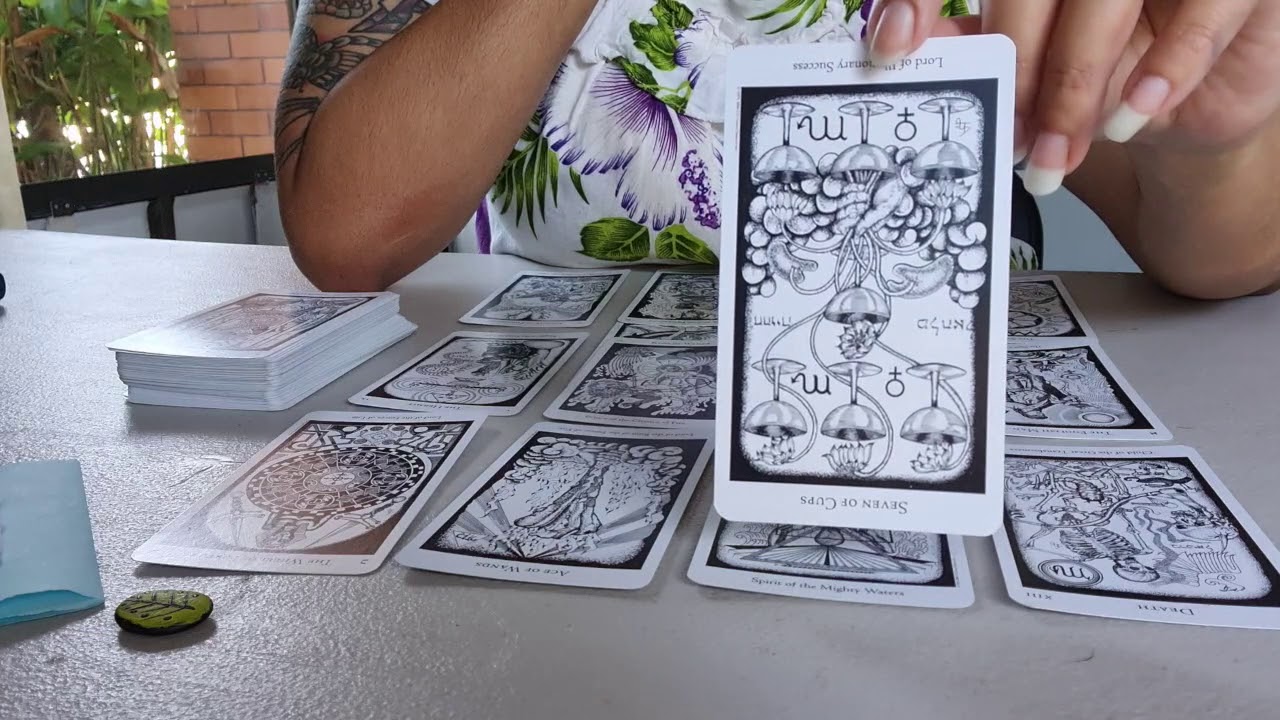 // Pick A Card ~ 🤭 What Is The TRUTH Of This Connection? 🤭