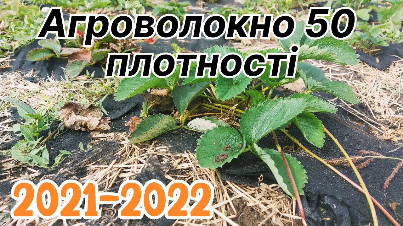 Чому не варто купувати чорне агроволокно 50 плотності в 2022