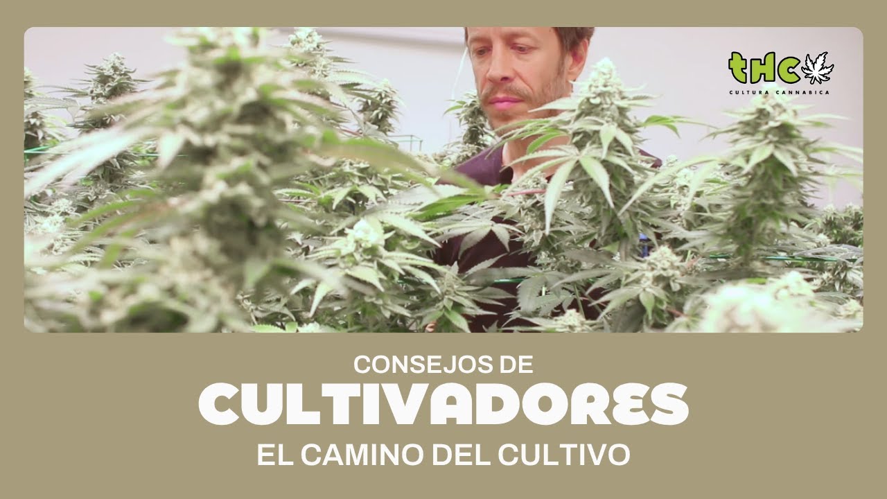 Consejos para CULTIVAR como un EXPERTO