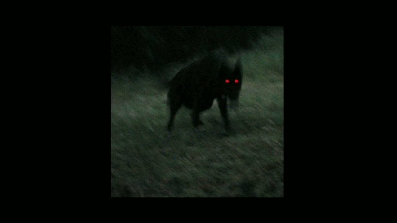 luci4 - game over (slowed - reverb)