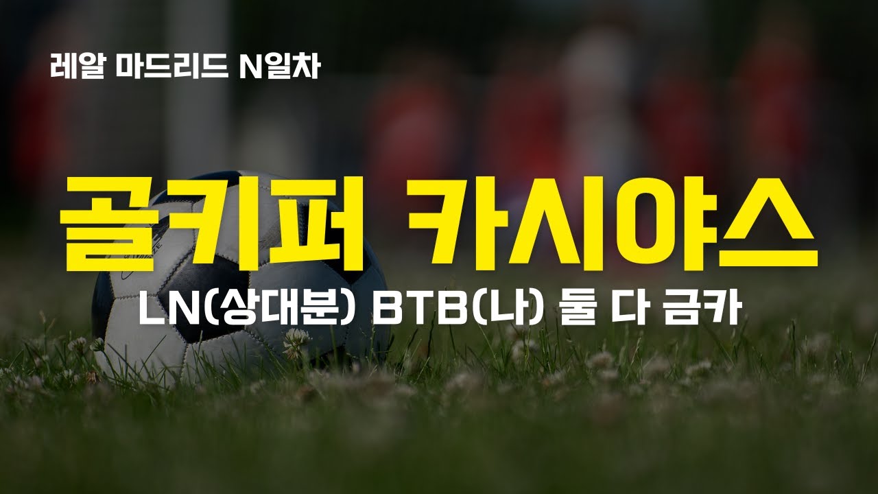 BTB 카시야스 금카 사용후기
