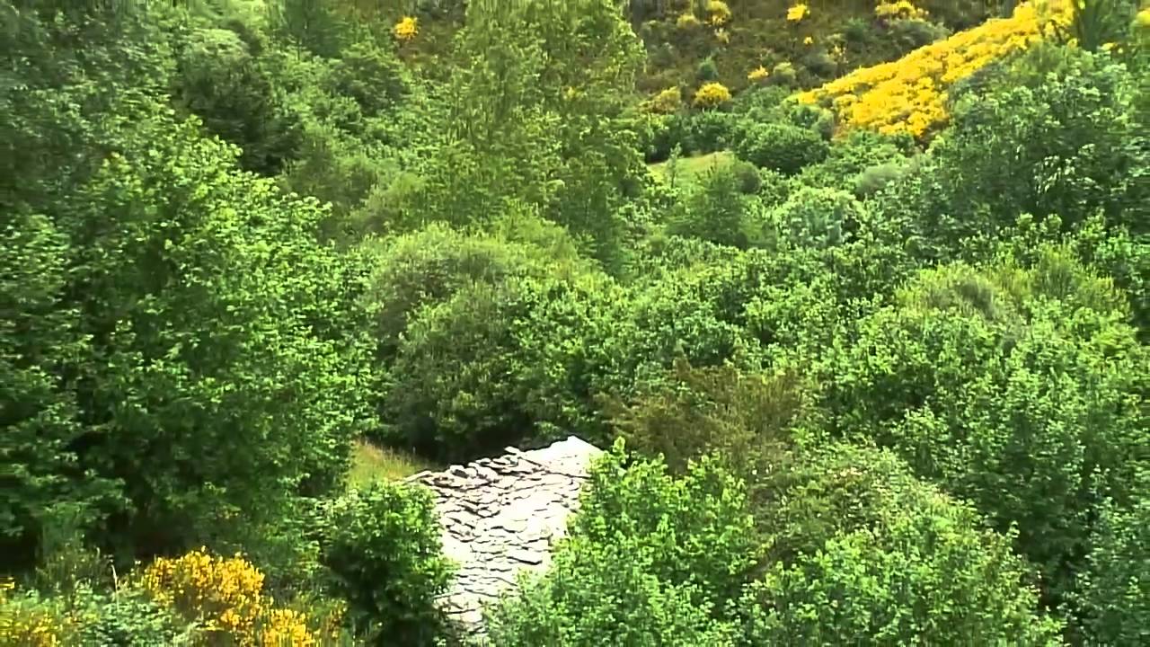 devesa de As Valiñas (Visuña-O Courel).MP4