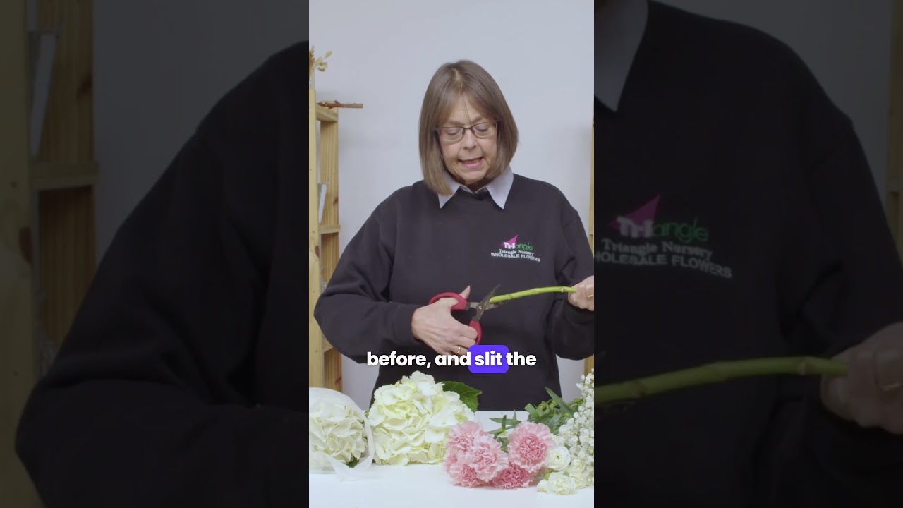How to Condition Hydrangeas for Events | DIY Flower Prep