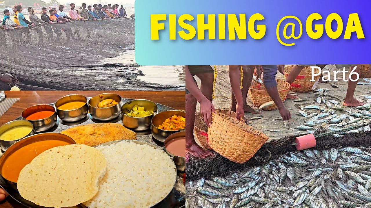 Fishing | Fishermen of Benaulim | Benaulim beach | Back home | End of Goa trip | Part 6
