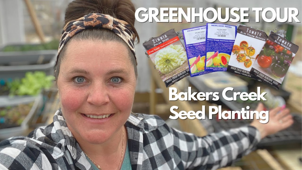 Vintage Window Greenhouse Tour: See What is Growing and My Favorite Seeds From Bakers Creek