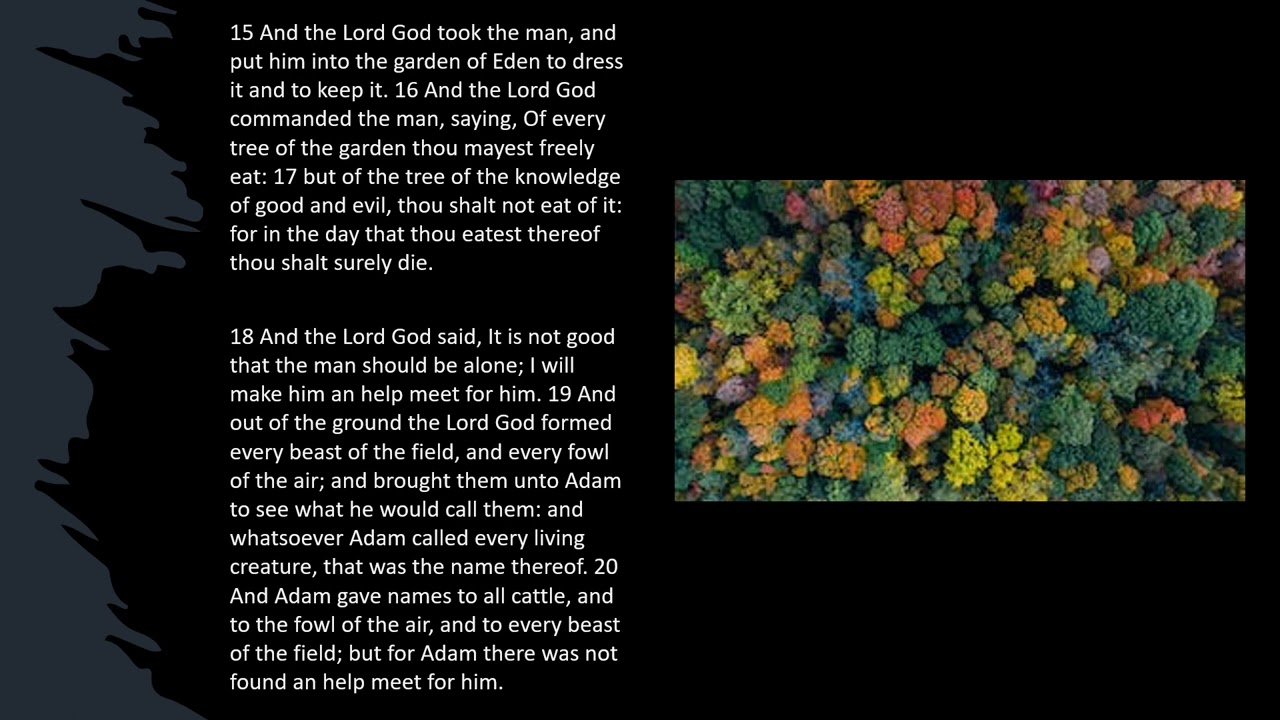 Genesis 2:15-20