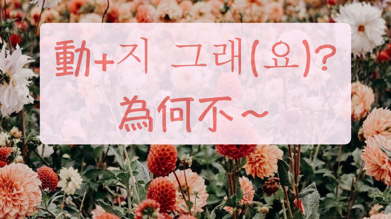為何不再一次想想看？ 動+지 그래(요)?篇（為何不～） 韓語教學 自學韓文