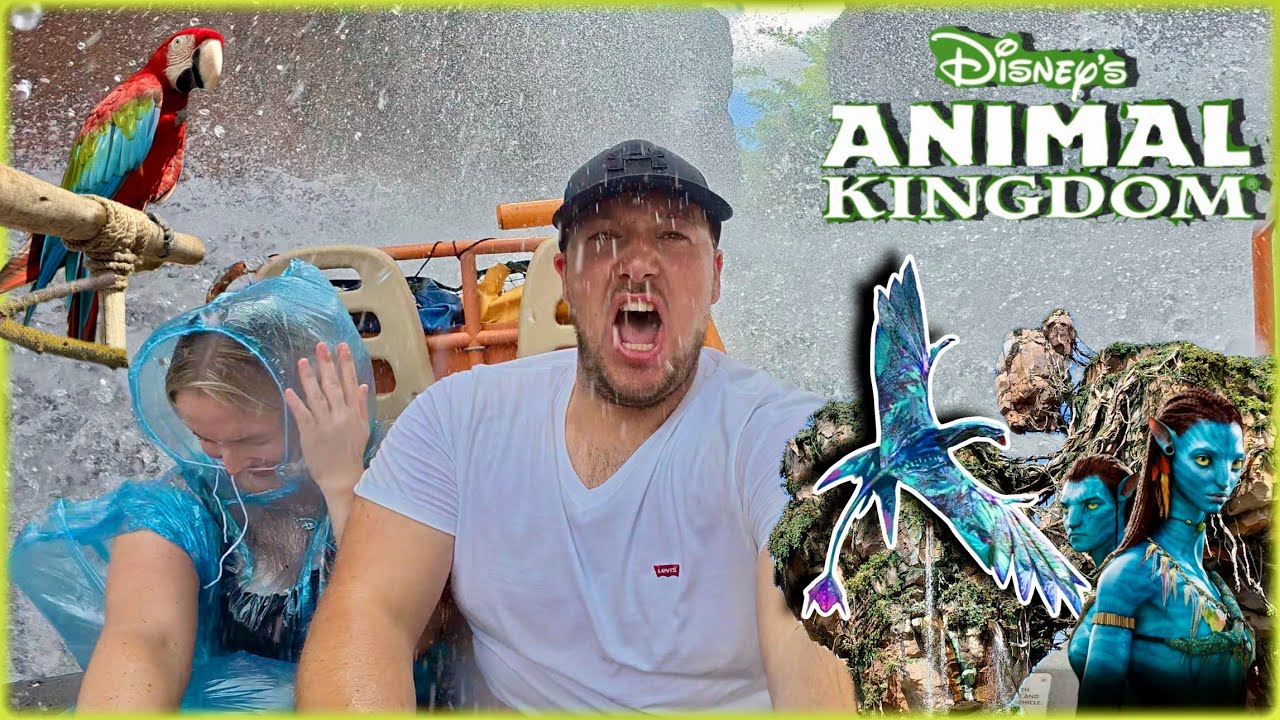 UNGLAUBLICHE Attraktion und THEMENWELT! Disney‘s ANIMAL KINGDOM - der SCHÖNSTE Park in Disney World!