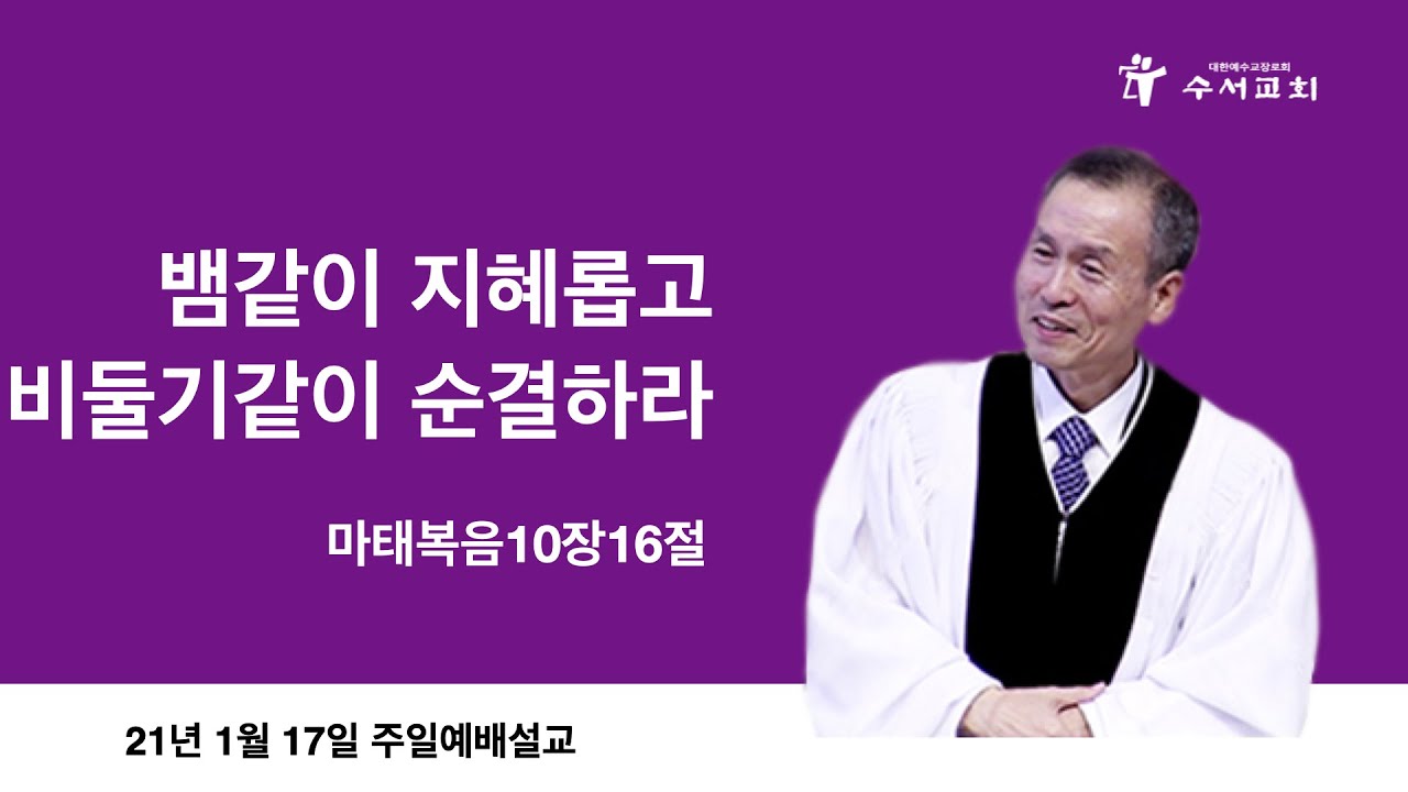 뱀같이 지혜롭고 비둘기같이 순결하라(황명환 목사)마10:16