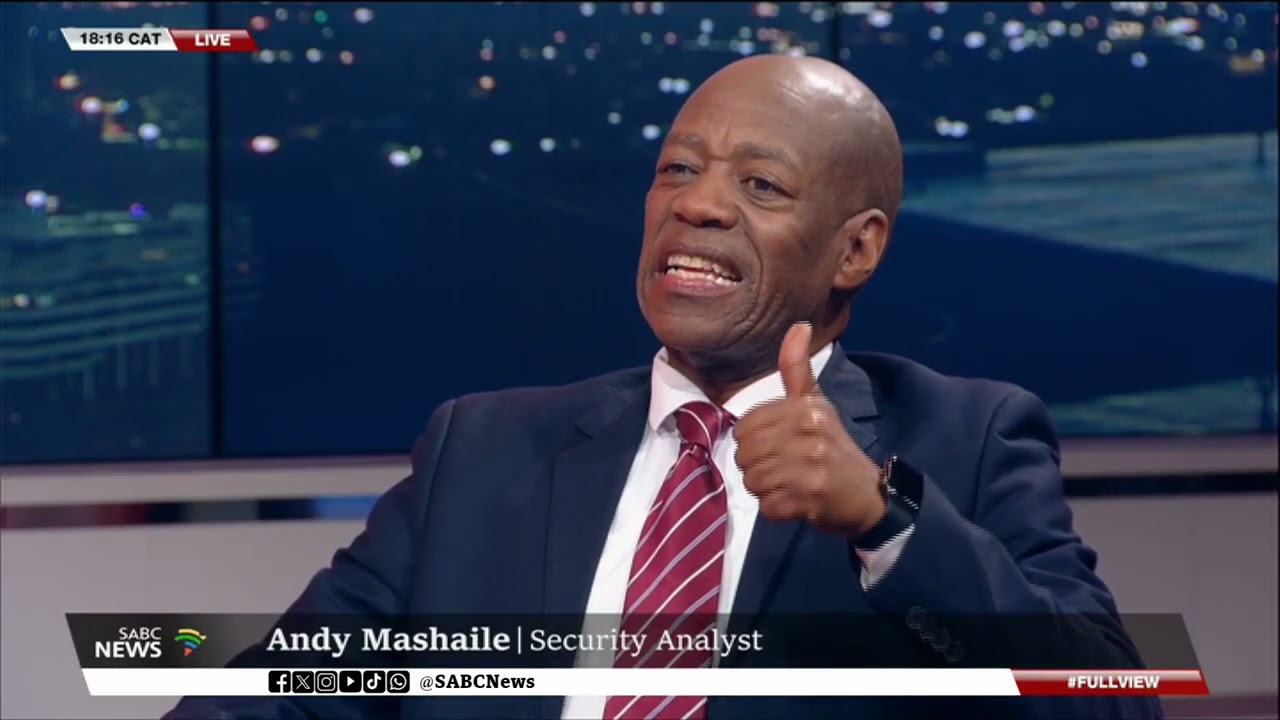 Mkhwanazi's allegations | Spotlight on Political Killings Task Team: Panel discussion