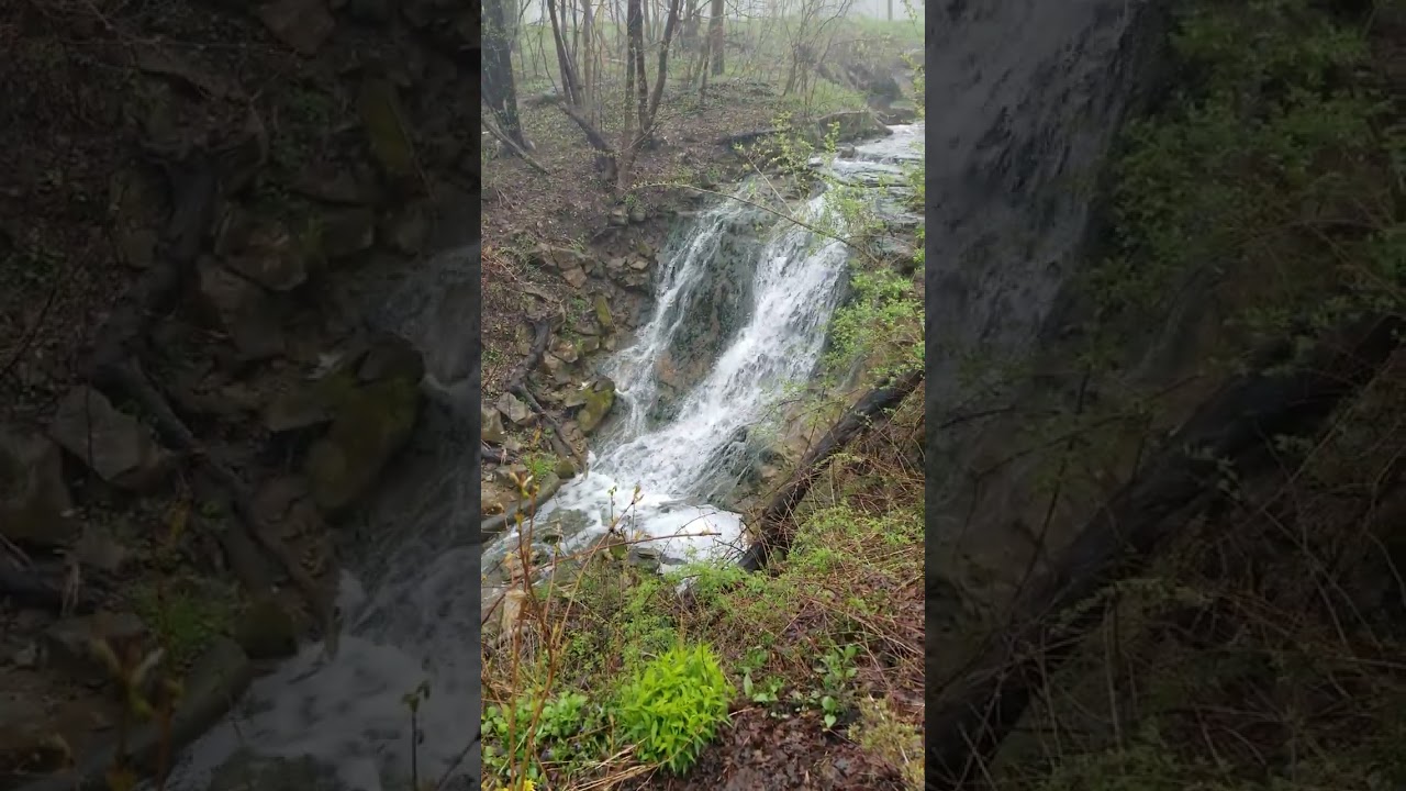 Hermitage Cascade #hikingontario