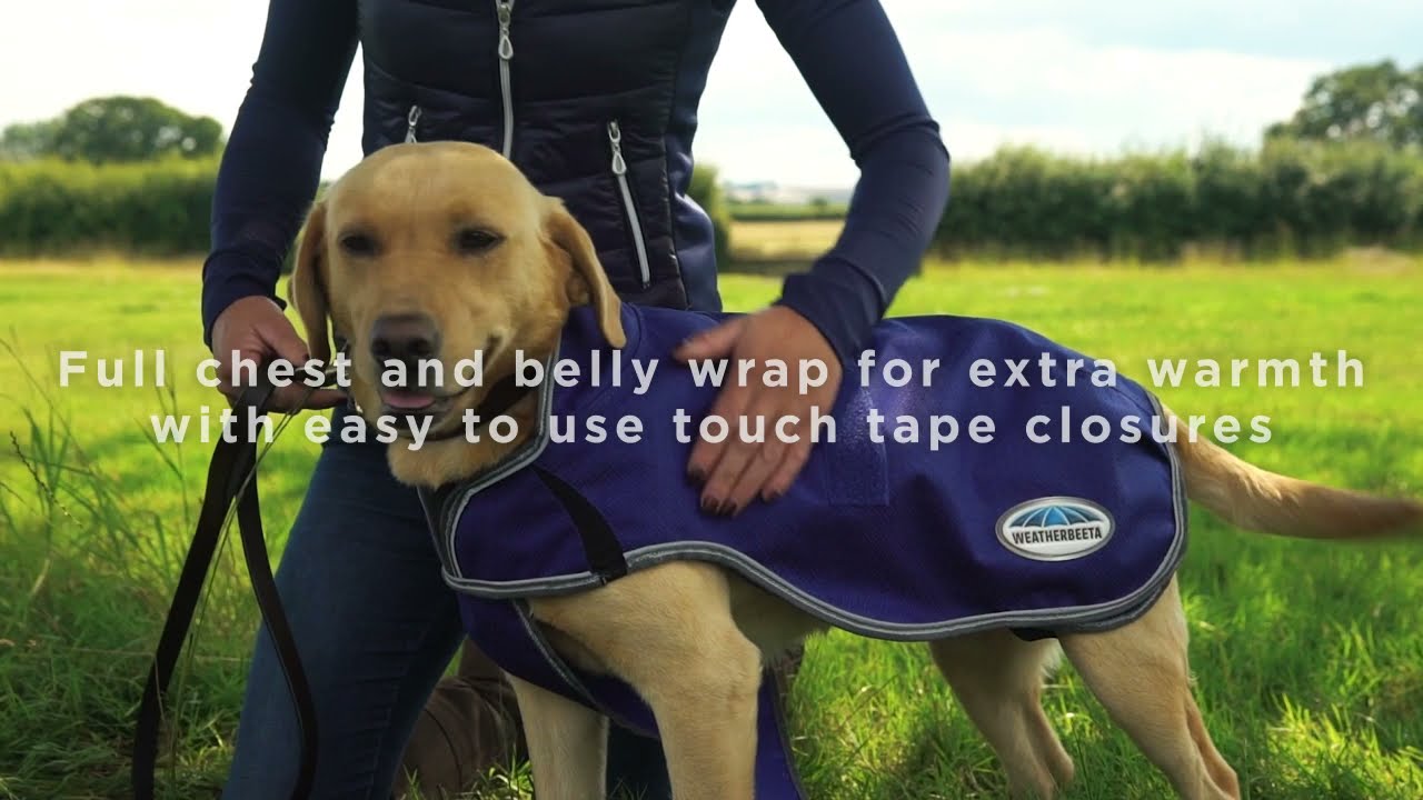 WeatherBeeta ComFiTec Premier Free Duo Deluxe Dog Coat