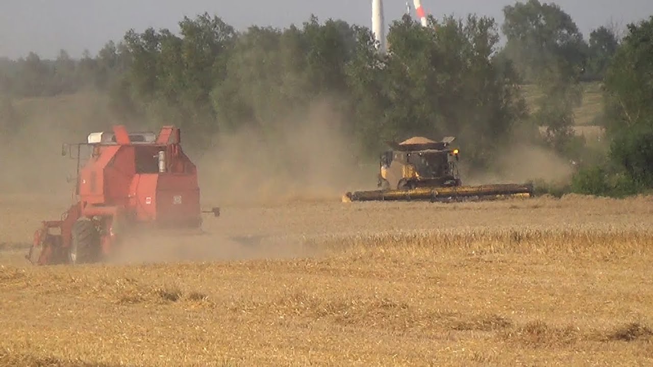 Apogeum żniw w roli gł&oacute;wnej Bizon Rekord Z058