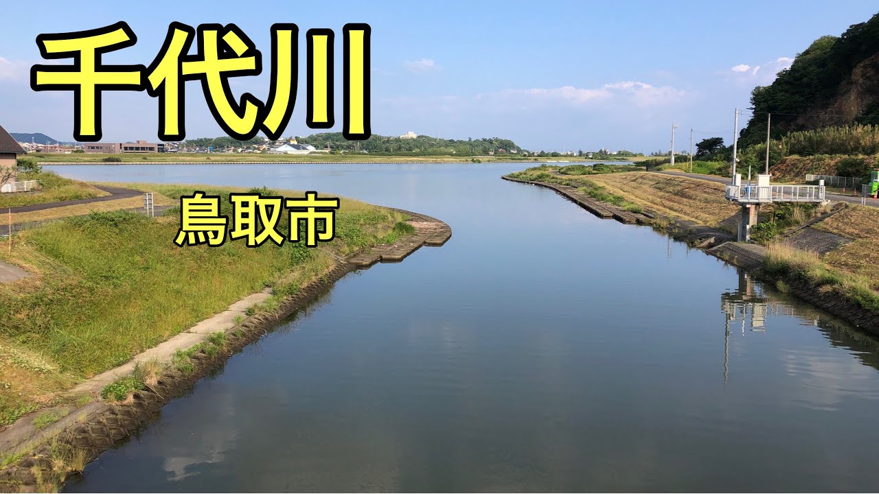 【千代川】釣り場紹介（鳥取市）