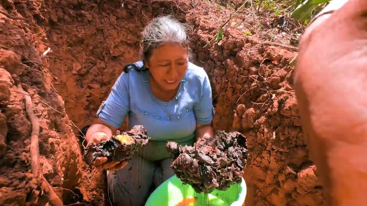 Hoy con mi mami nos vamos en busca de las mieles de tierra porque se nos acabo en la casa