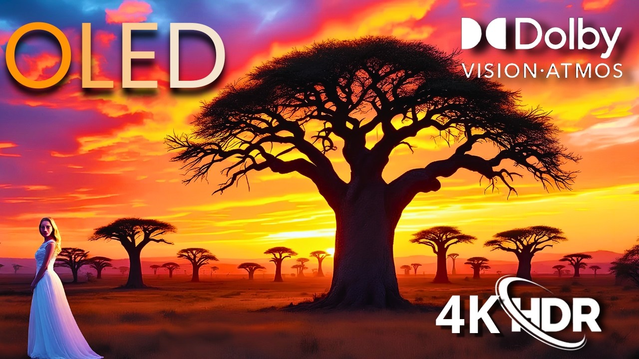 Dolby Vision Masterpiece in 4K HDR – OLED Demo at 60FPS