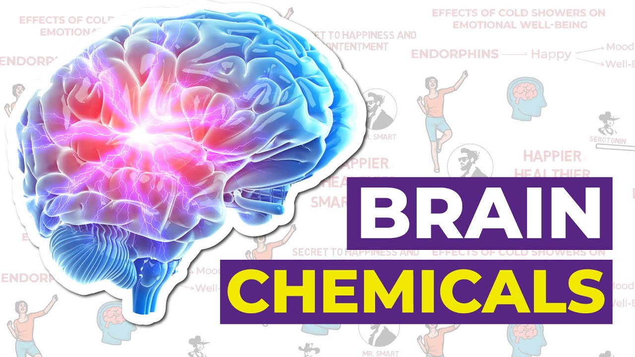 Serotonin vs Dopamine vs Cortisol | The Three Musketeers of Mood