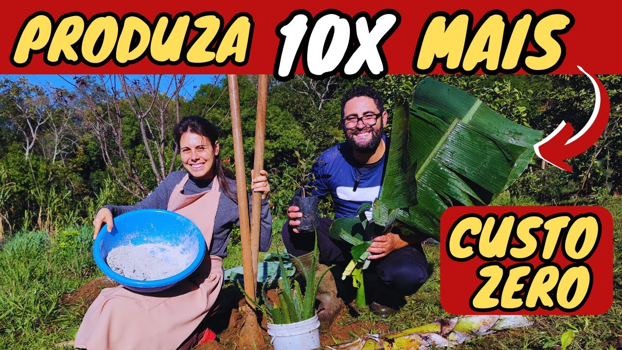 ✅ (DESCUBRA) Os 3 Adubos Mais Poderosos para Frutíferas de Baixo Custo! 2025