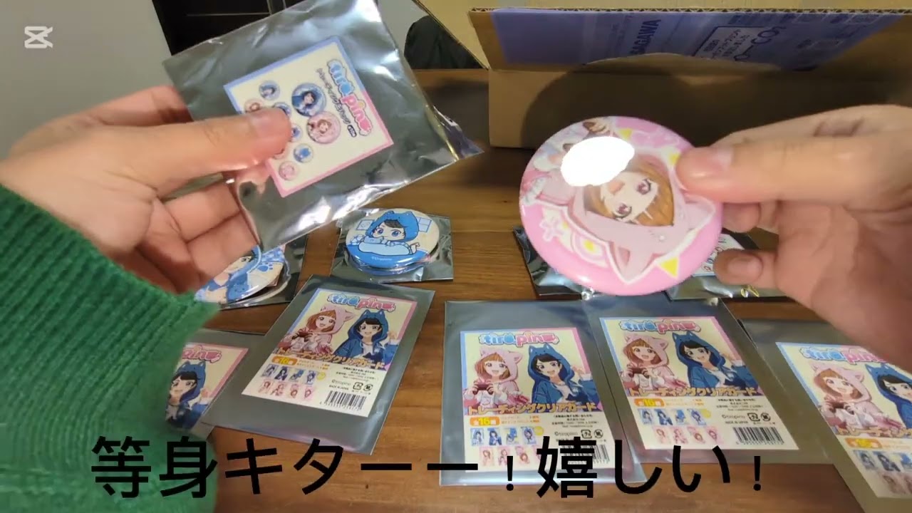 ちろぴのマーケット グッズ開封🎵
